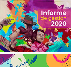 Informe de Gestión 2020